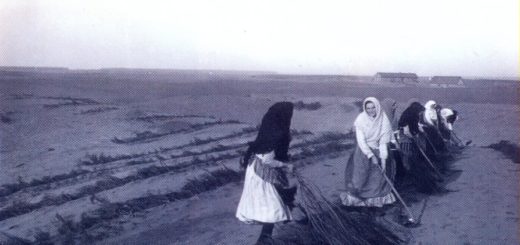 djurdjevac-sand