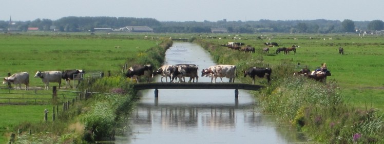 1 Bickersvaart drainage canal by Heleen Kole