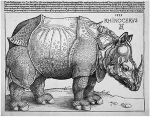 Rhino3