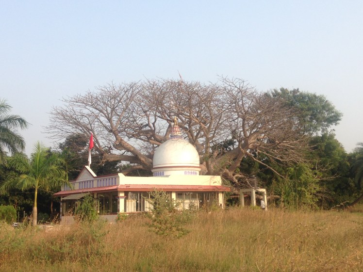 IMG_6709 Abrama-Valsad Gujarat-courtesy Dipani Sutaria