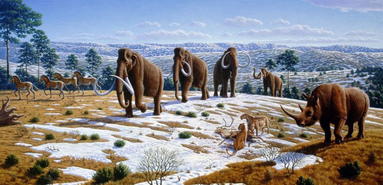 Ice_age_fauna_of_northern_Spain_-_Mauricio_Antón