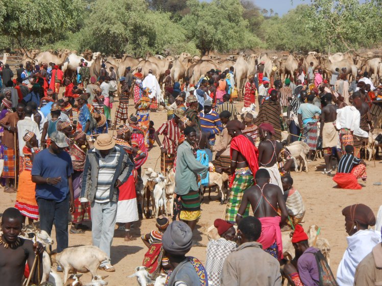 Photo2_Livestock_Marketing