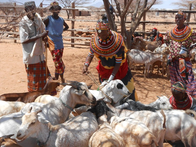 Photo3_ Korr_Markets