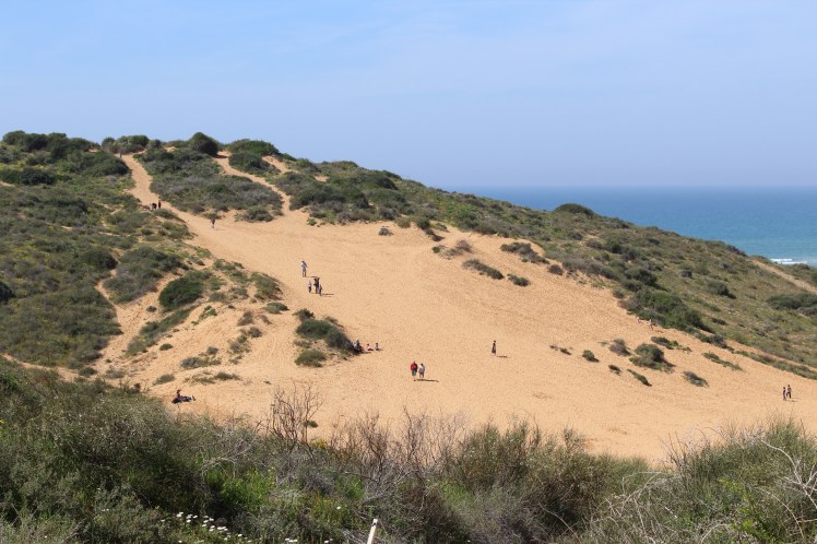 Wingate Sand Dunes in the central Mediterranean seashore, near the city of Netanya - עותק
