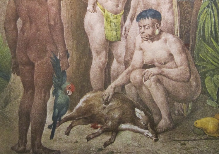 indigenous RUGENDAS 1835