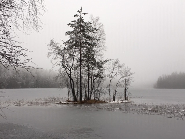 Turvepussi_2019- IMG_8072